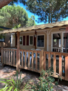 MOBILE-HOME VIP GARDEN CAMPING SABLES D'OR ****